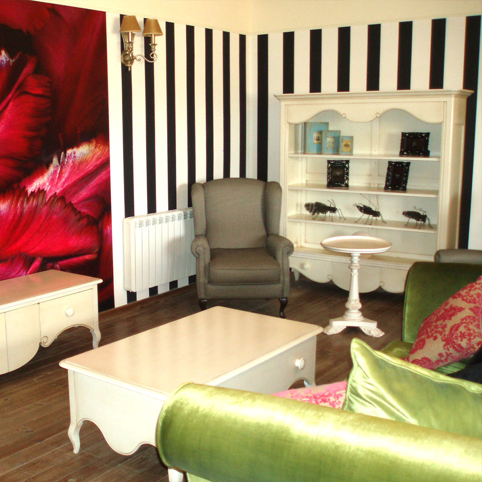 Reforma integral y amueblamiento casa en finca